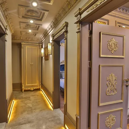 Real King 4* 트라존